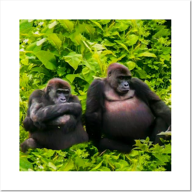 Resting gorillas Wall Art by Guardi